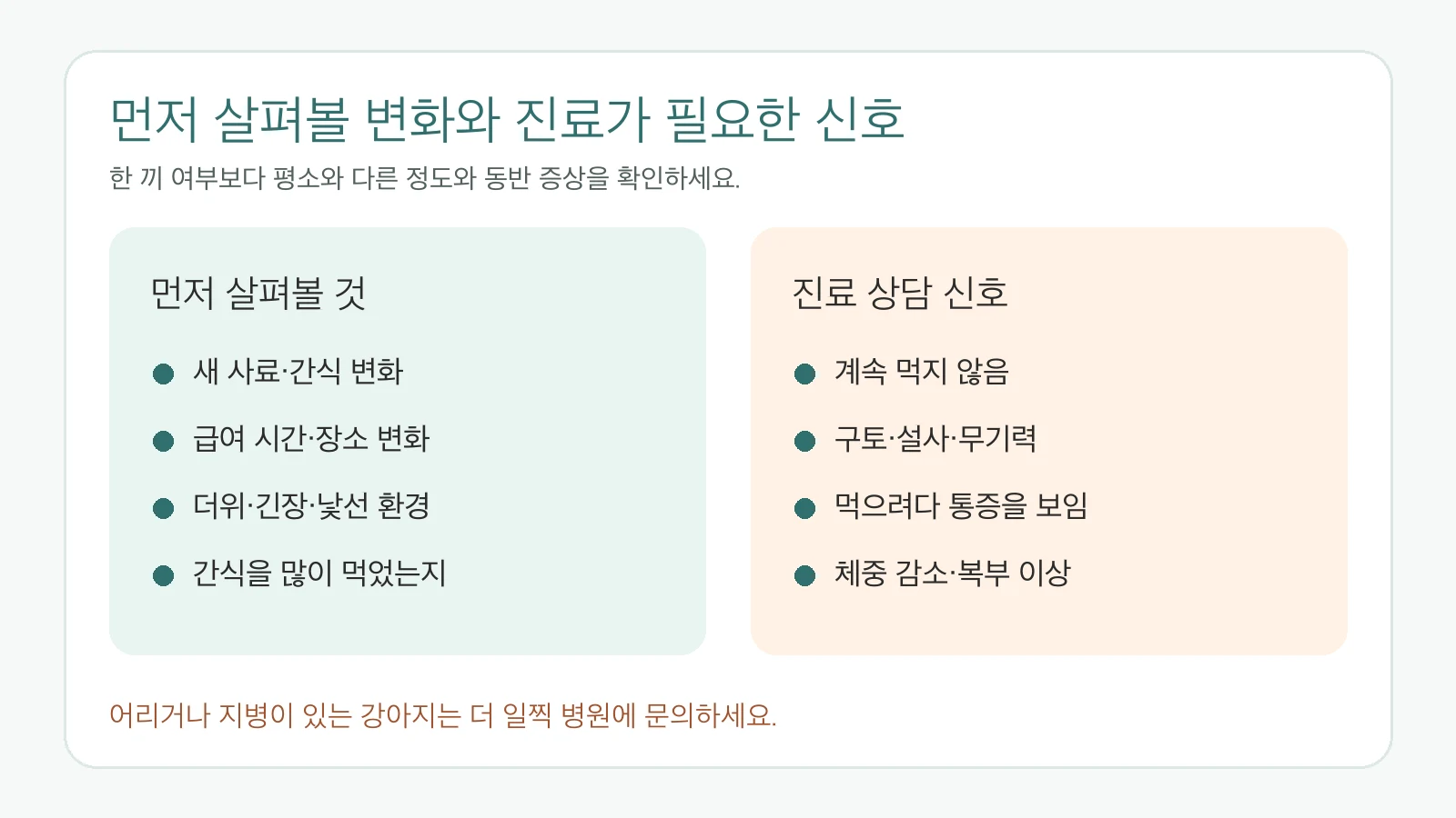 강아지 식욕 저하 시 먼저 살펴볼 변화와 진료 상담 신호