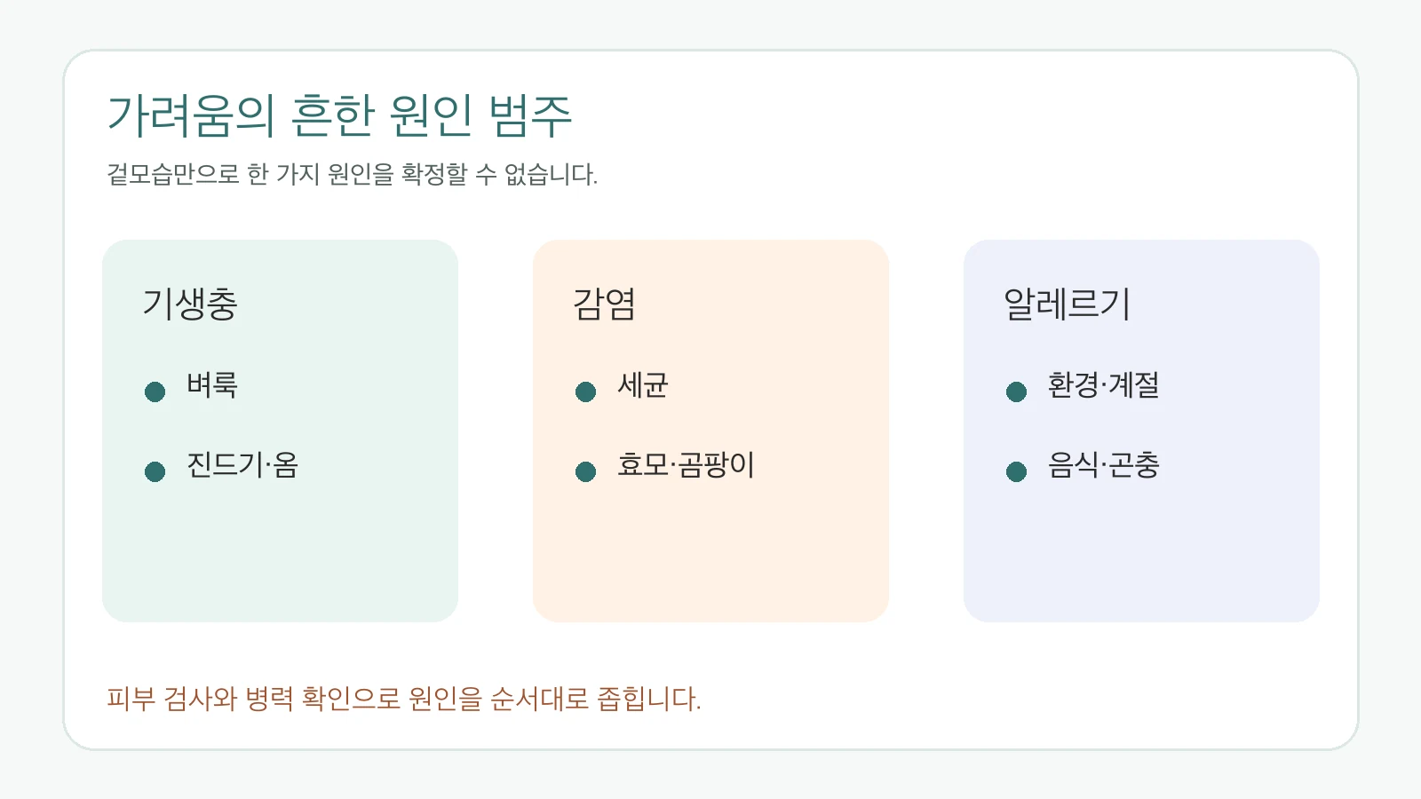 강아지 가려움의 기생충 감염 알레르기 원인 범주