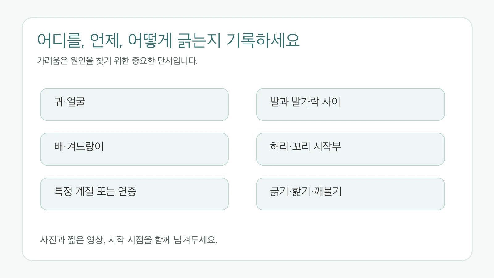 강아지가 긁는 위치와 시간 및 행동 기록표